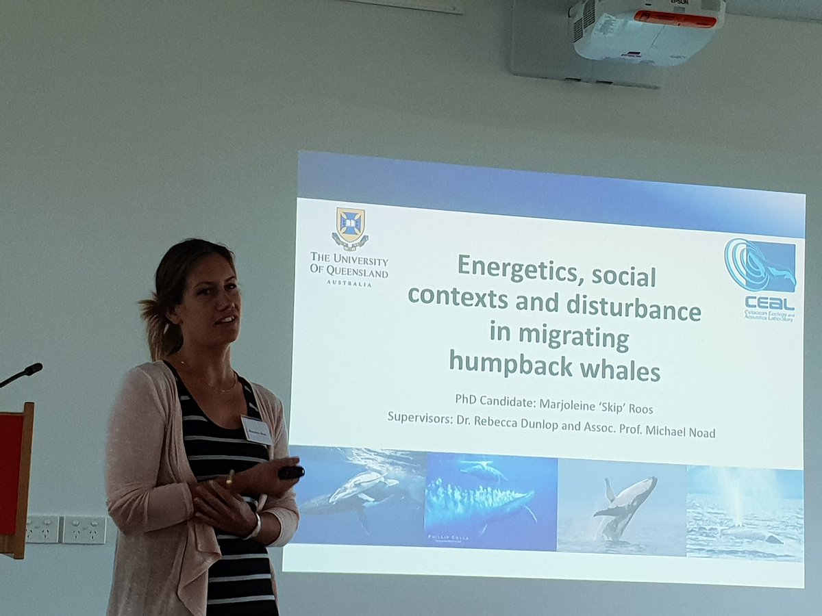First of the student talks for today is Marjo Roos from the <a href="/ceal_uq/">CEAL</a> lab on humpback whale energetics. #ANZSCSMM