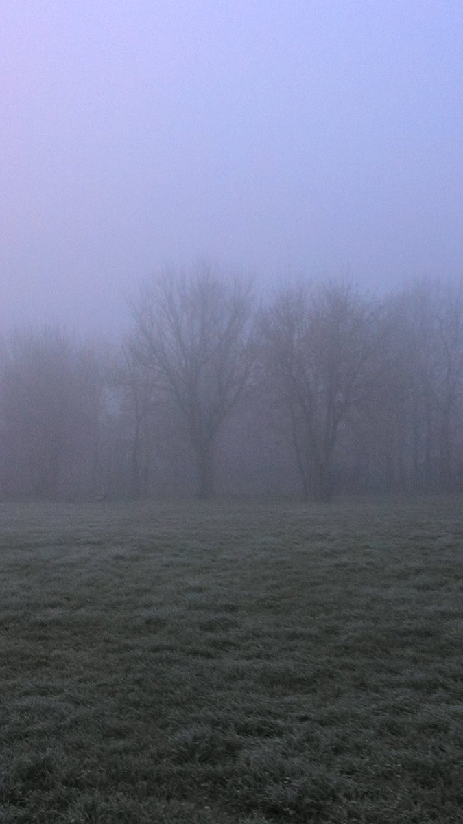monicamondini's tweet photo. Quando la pianura padana diventa una landa gelata immersa nella nebbia 💜 @ComuneRE #Roncocesi https://t.co/UBaojbmebO