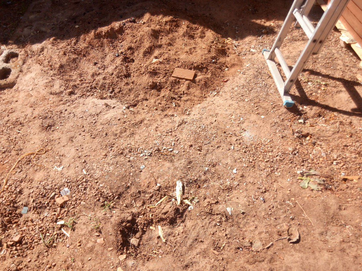 Mr_Trubshawe's tweet image. #PoolUpdate