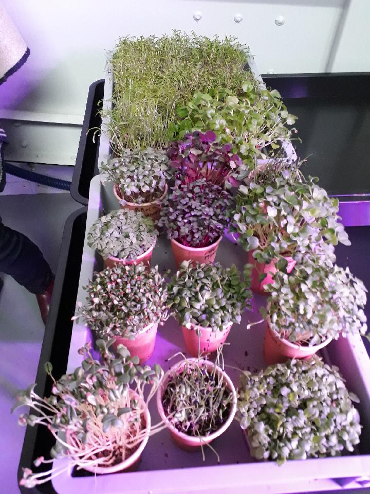 NicoCombettes's tweet photo. Petite infidélité au @CMB_UT_BRUZ  pendant une journée avec le #poleRedon. Comment allier digital et agriculture 🤔 ➡ @Lafarmbox au 🔝 🌱🍀. Merci Fabien 👍👏 . 🏅🏆digital @intia_fr @CMBretagne @WeAreArkea @CMB_DD35 ( 😂 Pierre B . 😇 ) https://t.co/gvjBGPDP6W