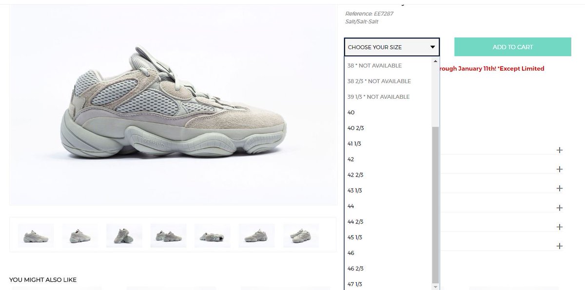 yeezy 500 salt on foot