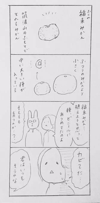 今日のマンガです!福来みかん?っていうかわいいみかんがあってですね‥ 