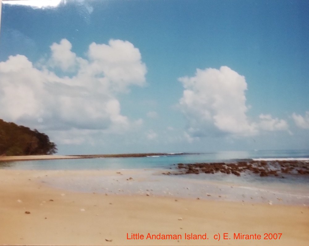 11. After 2004 Tsunami, Indian govt sent helicopter to check on N. Sentinel resulting in iconic photo of islander aiming arrow at surveillance. Sentinelese survived Tsunami well and population estimates remain at up to 150. N. Sentinel ideal forest/shore/reef for forager bands.