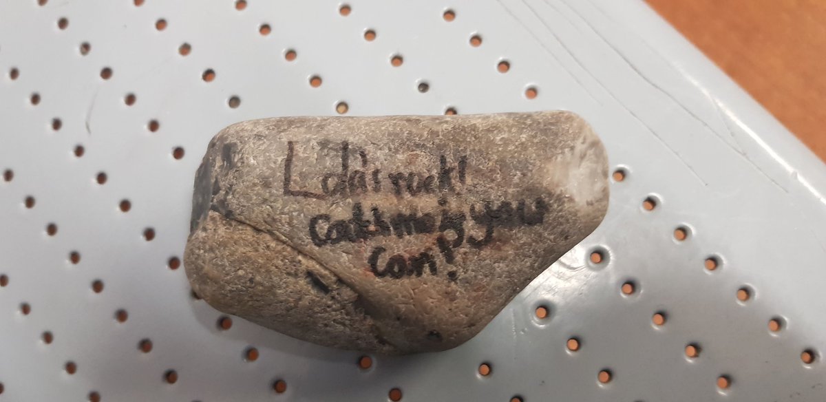 suzysmusicworld's tweet photo. Little bit of randomness at the train station this morning, found a rock that I need to post a picture of and then hide it. My mum is always finding these but this is my first one so here is my rock lol
#suzytheexplorer #foundarock #random #whetetohideit https://t.co/8IEkxNuqOO