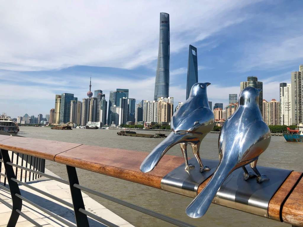 Downbubblecom's tweet photo. The Coolest Things to do in Shanghai https://t.co/wqoIlSEKr4 https://t.co/8233BZUB6N