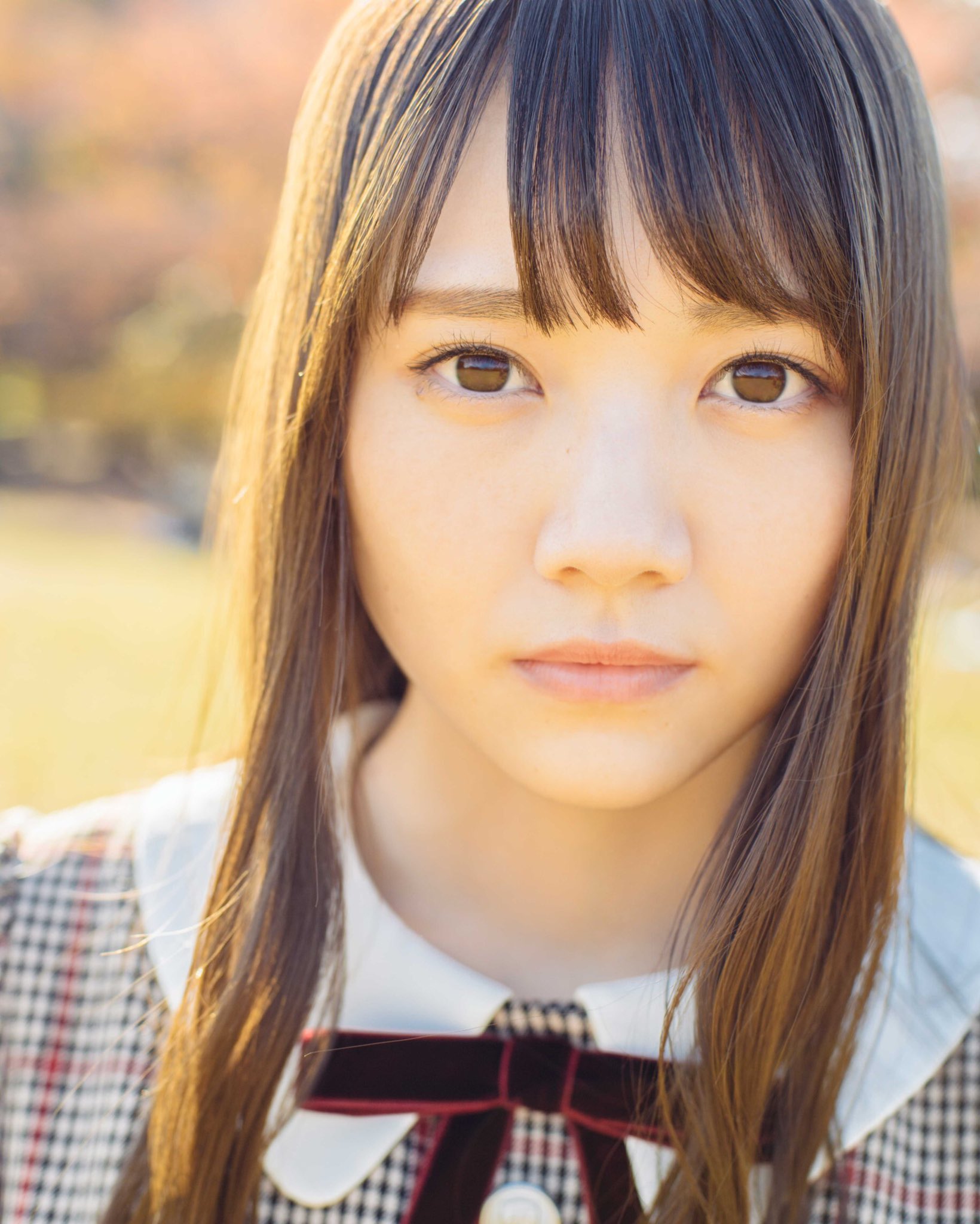 乃木坂46 on X: 