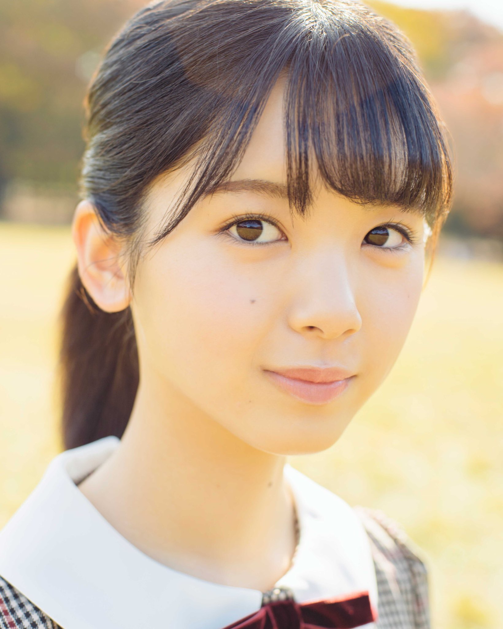 乃木坂46 OFFICIAL WEB SHOP | 乃木坂46 グッズ通販サイト