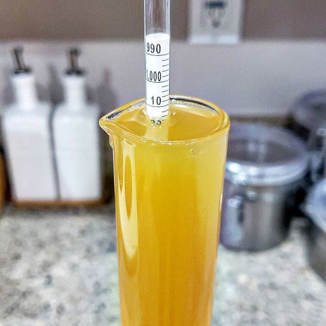 MoonDownBrewing's tweet photo. WAIMEA American IPA is ready for its return! Five gallons ready for Saturday #nofilter  needed ⛰🌊🏄🏾‍♂️🍺🍻🤙🏾😀
.
.
.
.
.
#homebrew #homebrewing #homebrewer #beersofinstagram #dohomebrew #homebrewfanatic #drinkhomebrew #instabeer #Beerstagram #beergeek #… https://t.co/pd7aHxxVai https://t.co/cHxPofcgoy