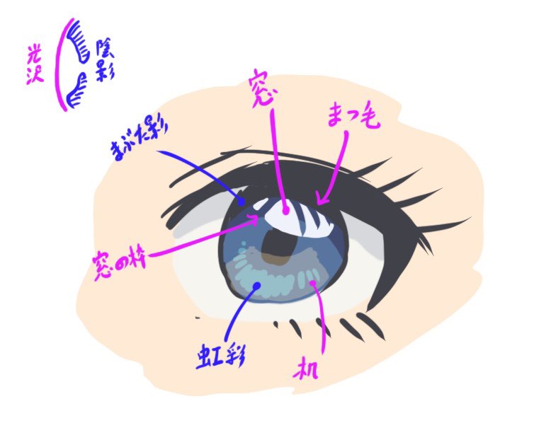アニメやイラストにある 目に映る白い模様 の正体が思いがけないもので衝撃 Togetter