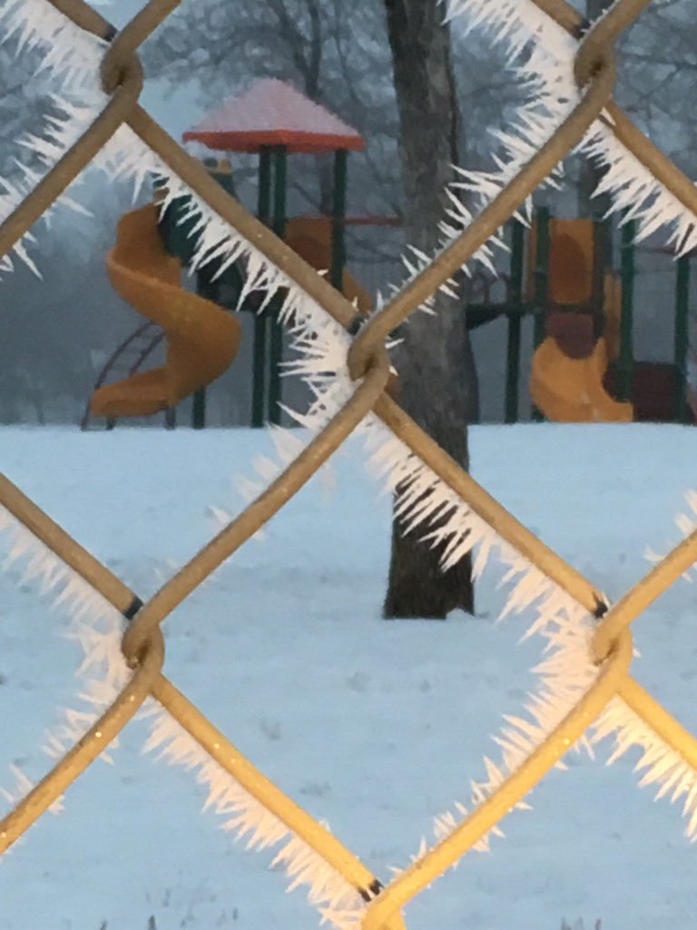 wildwood_school's tweet photo. Beautiful day captured by our very own photographer extraordinaire Shawna Dykes! Just gorgeous!!
#spslearn #wildwoodschool #saskatchewanisbeautiful https://t.co/I93RDueOZ8