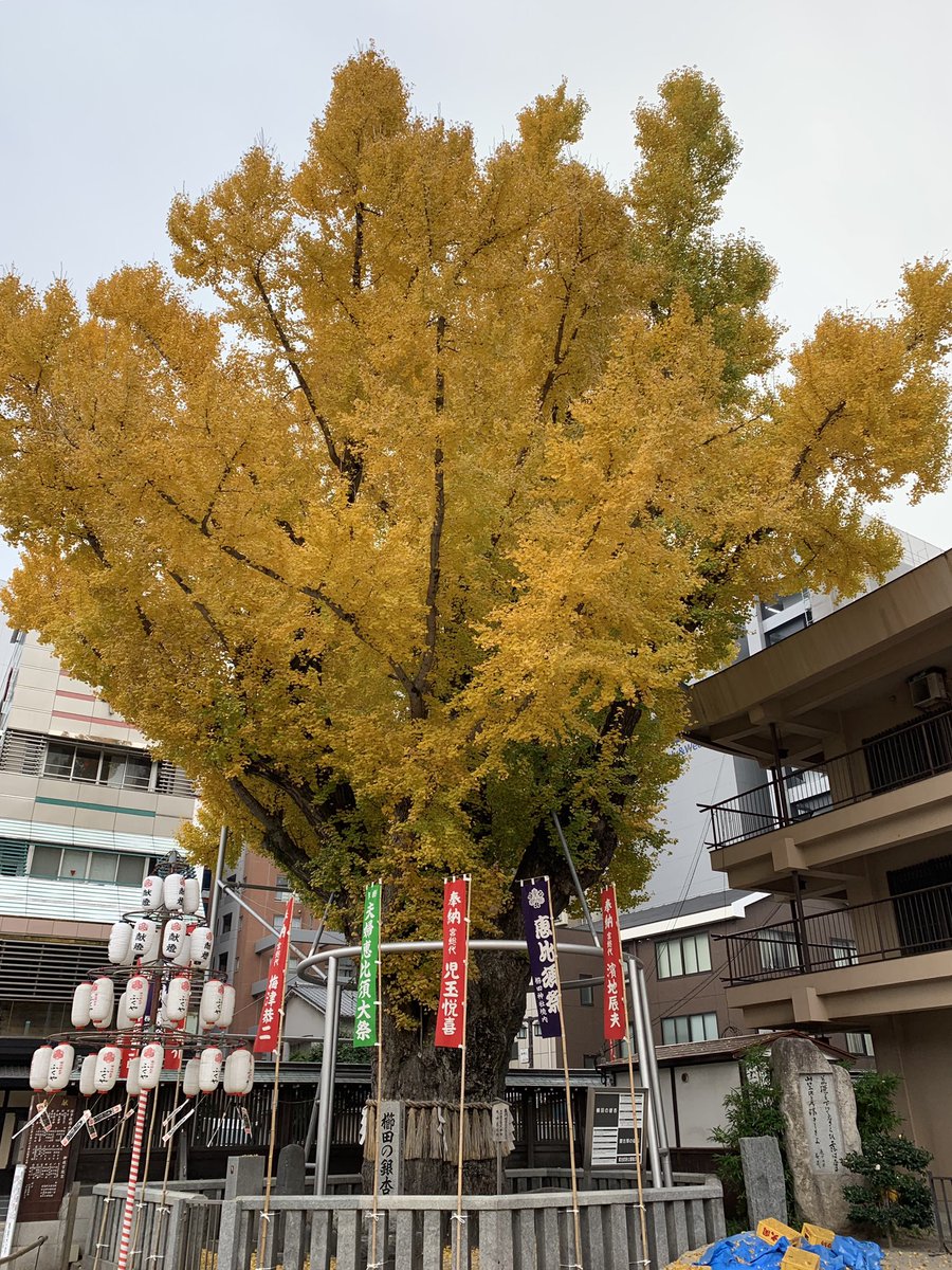 櫛田神社 英語で