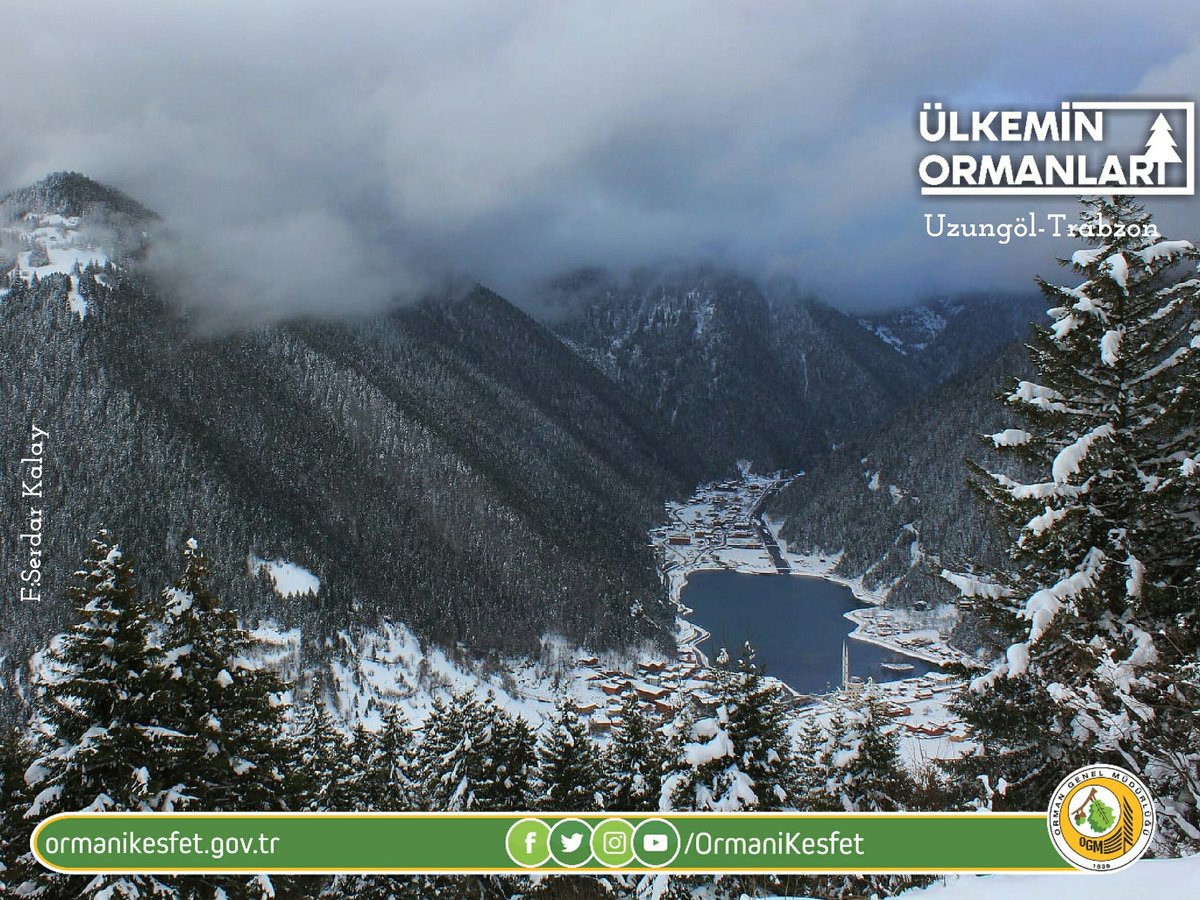 ormanikesfet's tweet photo. Yazı Ayrı Kışı Ayrı Güzel Ormanlarımızın.
Uzungöl'de Kış - Foto:Serdar Kalay
🌲🌳🌲🌳
#OrmanıKeşfet #Cuma https://t.co/WZuwuFK8Jo