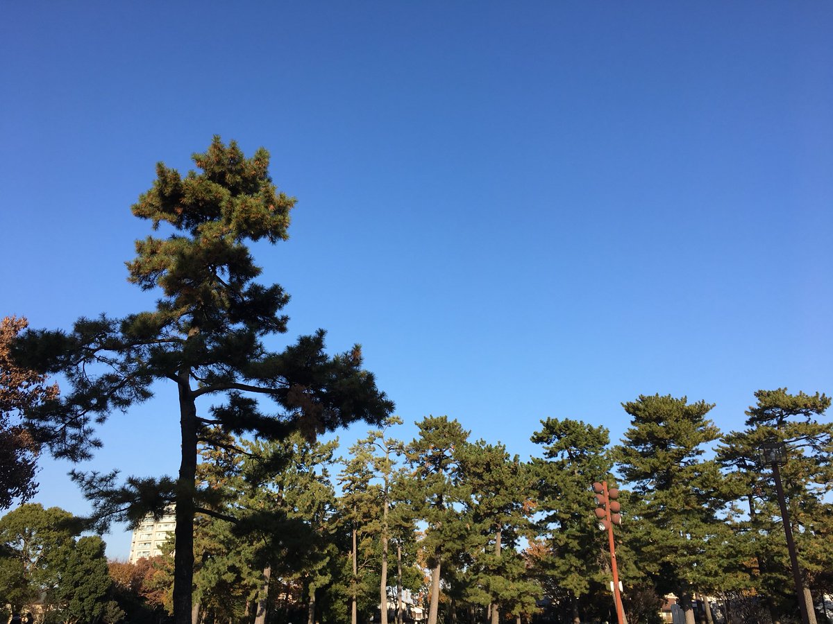 子供と公園をハシゴすること3公園目☺︎

ツラたん（笑）

( ´ ▽ ` )ﾉ