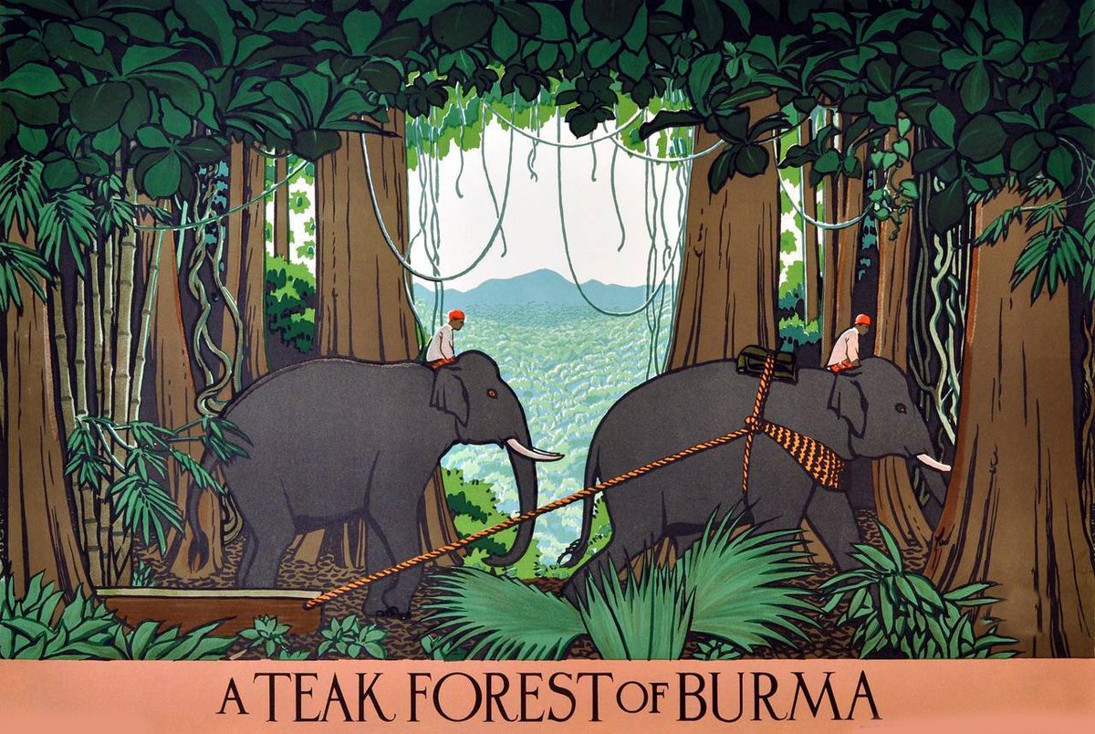 Superdecking's tweet image. 