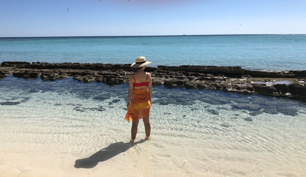 mcmsharksxx's tweet photo. Tomorrow (or, rather today) airs #SharksofCuba over in New Zealand and Australia for #SharkWeek! I’m happy to answer any questions about the show, #sharks or the... well, you’ll see it 🐊 https://t.co/U4uI2GJFYD