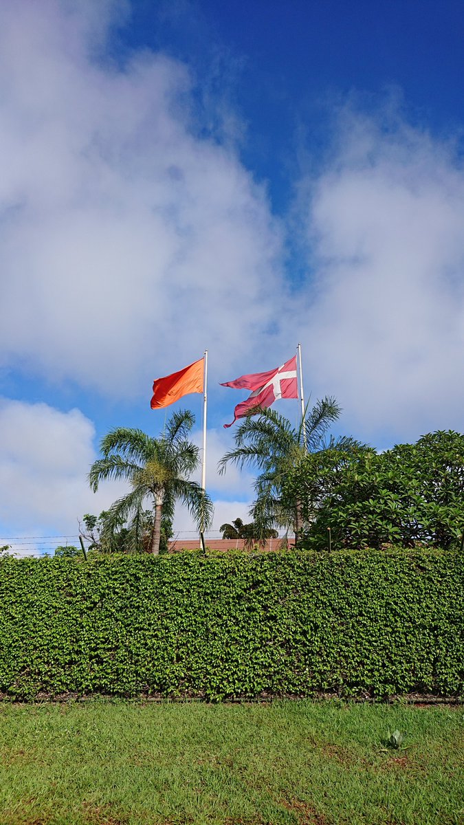 DinamarcanoBR's tweet photo. Em celebração aos 16 Dias de Ativismo Pelo Fim da Violência de Gênero, a bandeira laranja voará ao lado da bandeira dinamarquesa 🇩🇰 até o dia 10 de dezembro!
#HearMeToo @DK4HRC #orangetheworld #16dias #dinamarcanobrasil #16DaysofActivism #UseLaranja @ONUMulheresBR @ONUBrasil https://t.co/eoOaVqXRZN