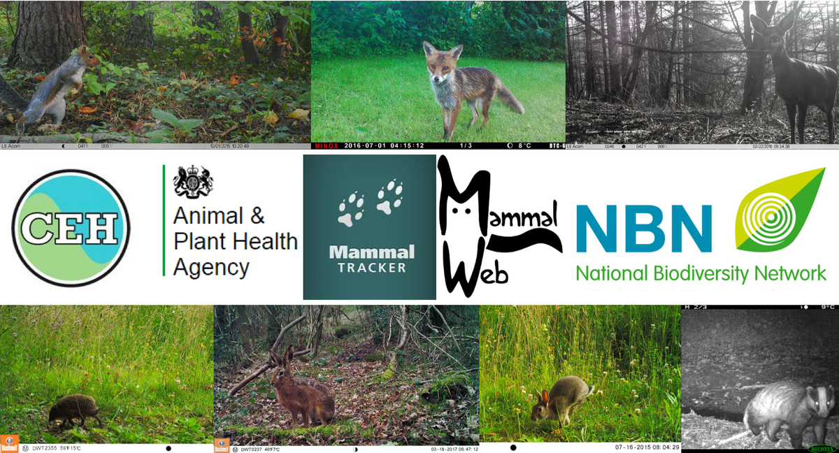 PS_Applied_Ecol's tweet photo. Another #CitizenScience PhD opportunity: The validation of ecological citizen science data, with me, @DavidRoyBRC, @jo_judge, @APHAgovuk. Closes 11/01/2019. NERC eligibility rules. Enquiries to me. https://t.co/u1fhIOvcZY. @CEHScienceNews @BESCitSci @BES_careers @BESConservation https://t.co/eribfioiWx