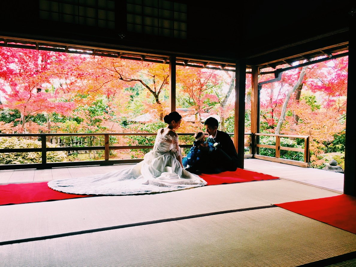 妙心寺 大法院　Daiho-in (@daihou_in) on Twitter photo 