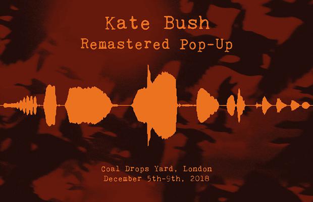 crisis_uk's tweet photo. We’re absolutely thrilled that @KateBushMusic has chosen to support us by donating all of the profits from her Remastered pop-up shop which opens next week.

Find out how you can join Kate in helping to end homelessness here: https://t.co/tByYuQpagR https://t.co/ZTlCCG4Rgy