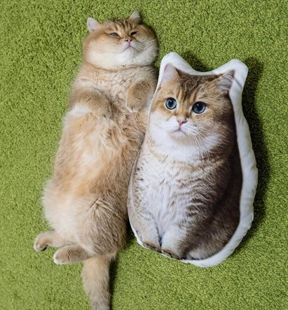 HjSafarin's tweet photo. twin :D https://t.co/RlLGcreKtn
