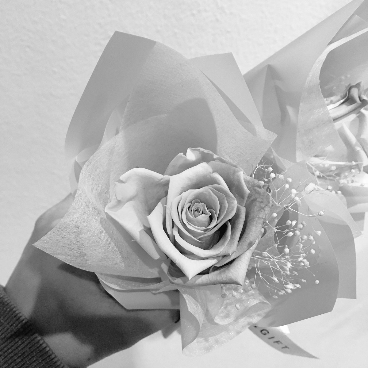 12월의 다은은 여러분이 정말 문의 많이 주셨던 꽃으로 준비했습니다😊 다같이 외쳐봐요 open RANKA!