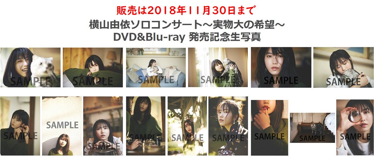 本日11月30日まで／ #横山由依 ソロコンサート ～実物大の希望