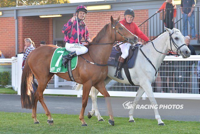 EquianoClub's tweet photo. #SHAQUIANA 3F Equiano x Miss Shakira(Snippets) wins convincingly on debut at @CranTurfClub  for Tr Patrick Keane  &amp; Jk @maskiell_jason  (1/2 sis to #DEVILSPINCH ) @SwettenhamStud @newsellspark https://t.co/Uos2soIXGP