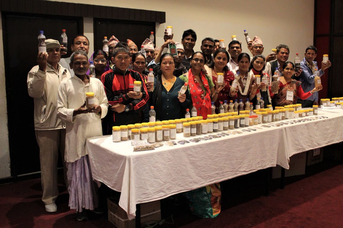 CGIARclimate's tweet image. Leaders of #community #seedbanks from across Nepal created a list of high priority #policyissues on seedbanks. Read the list here: ow.ly/d0M350jM6rB @BioversityInt