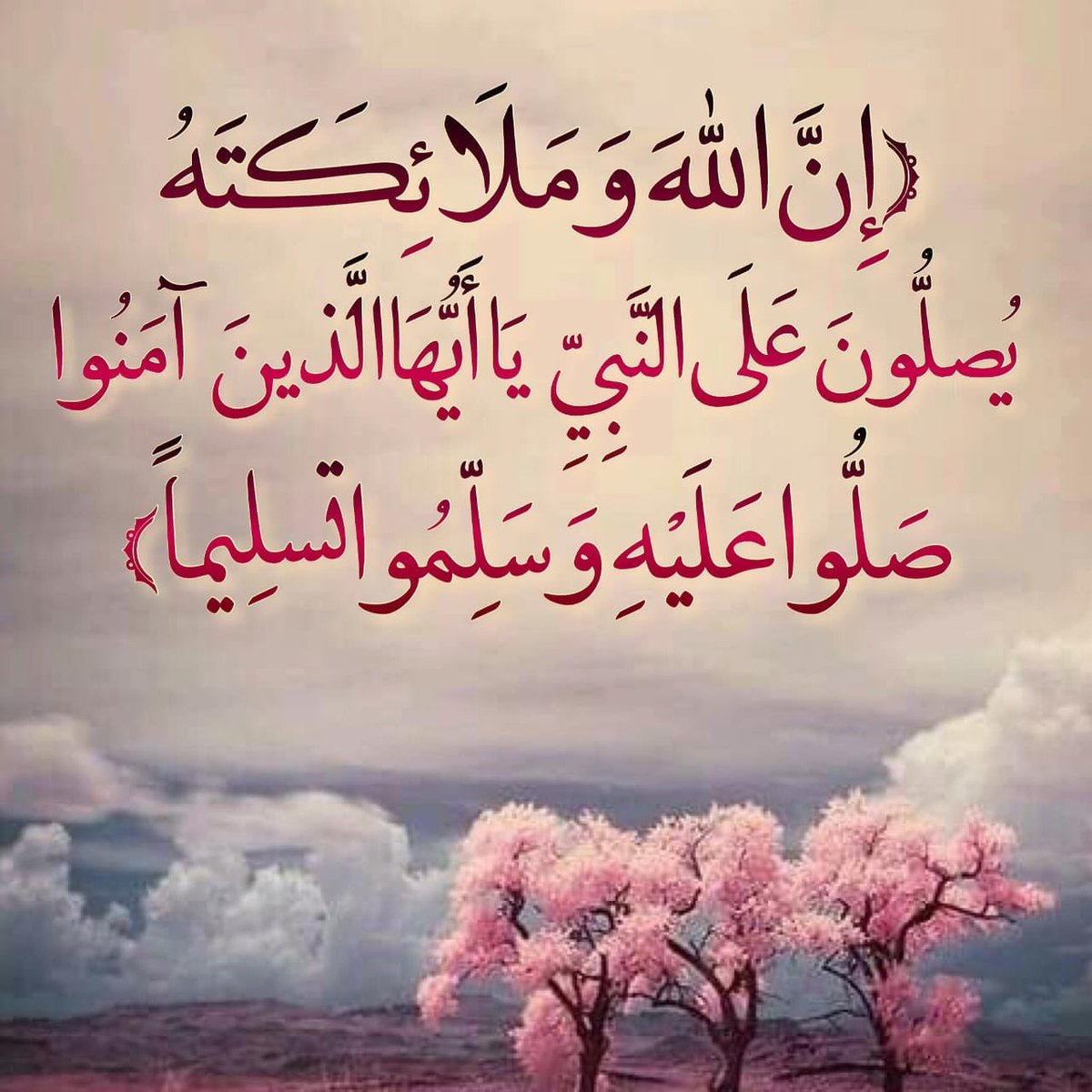 الصقر الموجوع W6zwmqiewjsfqwh Twitter