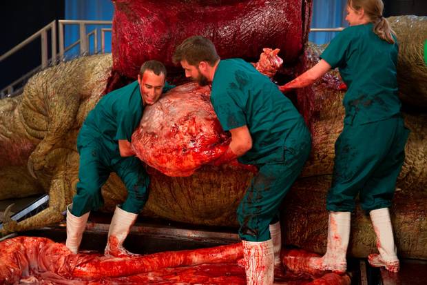 Sapreste fare l'autopsia di un T-Rex? Lui sì. "È qui che dobbiamo aprire", spiega convinto in questo video. Un T-Rex però, prima di aprirlo, lo devi anche costruire... <a href="/SteveBrusatte/">Steve Brusatte</a>, cacciatore di #dinosauri, oggi in studio con noi: 11.30 in onda youtube.com/watch?v=shBGtd…