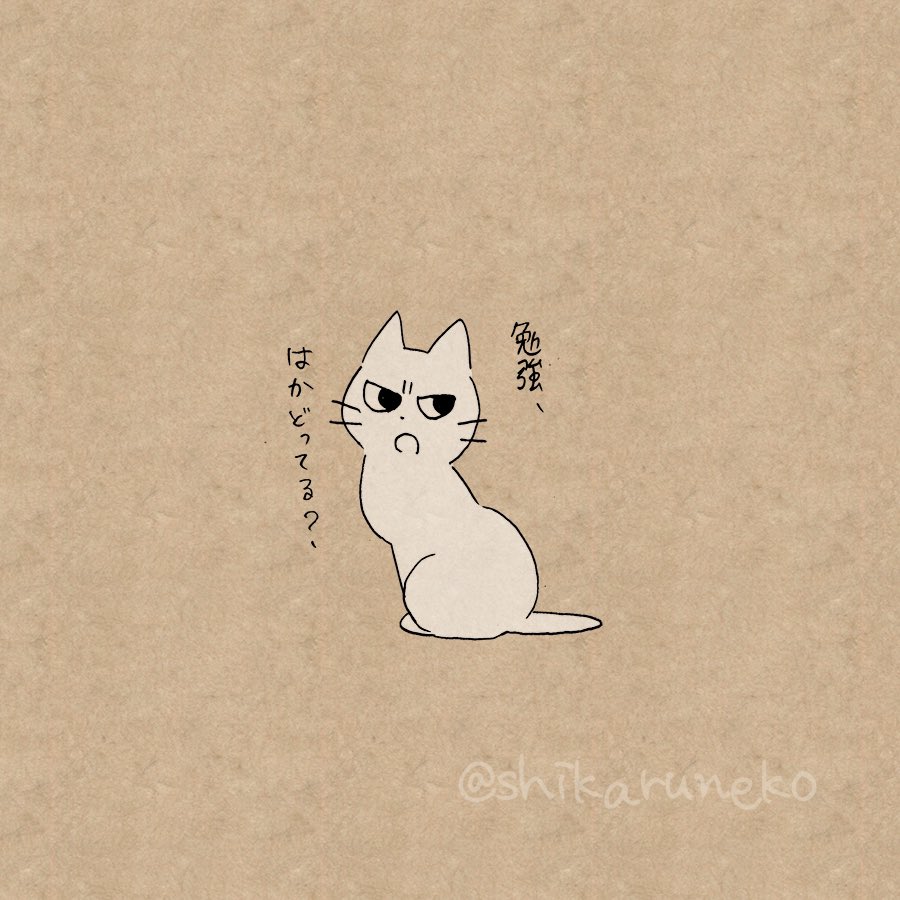 しかるねこ 勉強する気が起きない人を叱ってくれる猫 T Co J25ajechdk Twitter