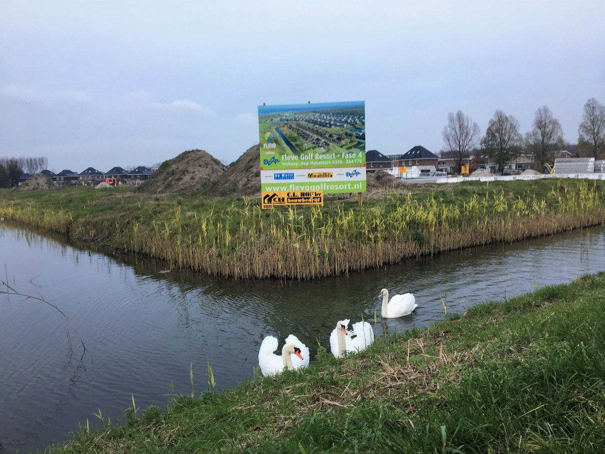 Vandaag slaan we een officiële paal op de bouwlocatie van fase 4! Om 15:30 start het evenement en aansluitend hebben we een gezellige borrel in het clubhuis! Alle kopers van de 4e fase en van de Caddie zijn hiervoor van harte uitgenodigd. #flevogolfresort #lelystad #evenement