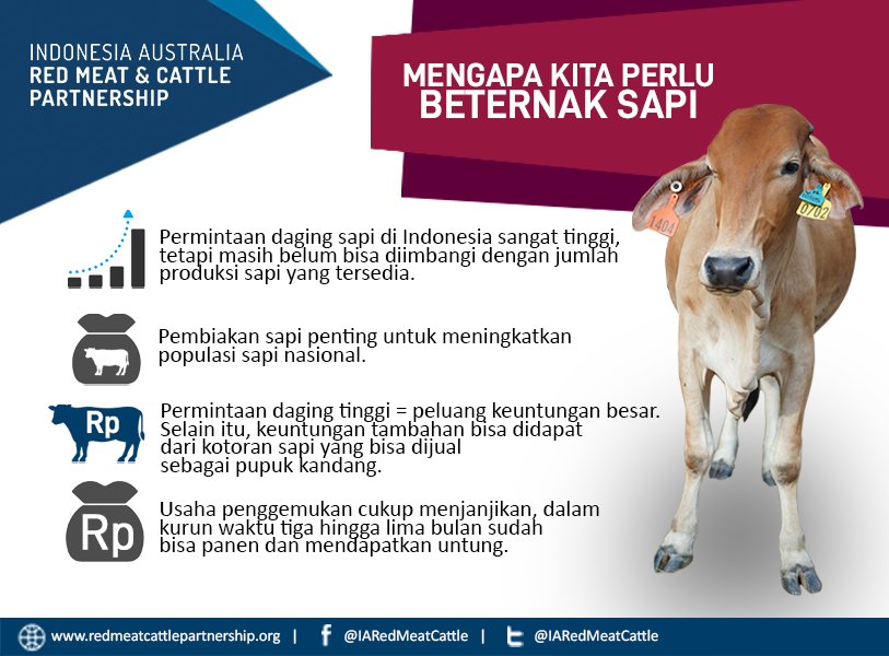 IAredmeatcattle's tweet image. Sudah sempat lihat postingan Kami sebelum-sebelumnya #MitraPeternak? Dari info-info tersebut sebetulnya sdh menunjukan besarnya peluang utk bisnis ternak sapi potong lho, terlebih terus meningkatnya kebutuhan dr masyarakat. Masih belum yakin untuk #InvestInMEat ini?