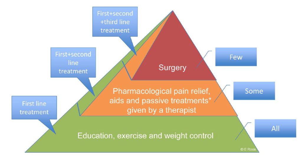 To our GPs: Please refer OA patients to the physiotherapist for SUPERVISED exercise therapy. It works!👍OA symptoms and related disability can often be eased significantly without requiring surgery. The first step is education, exercise and weight control #letsdothis <a href="/ewa_roos/">Ewa Roos</a>