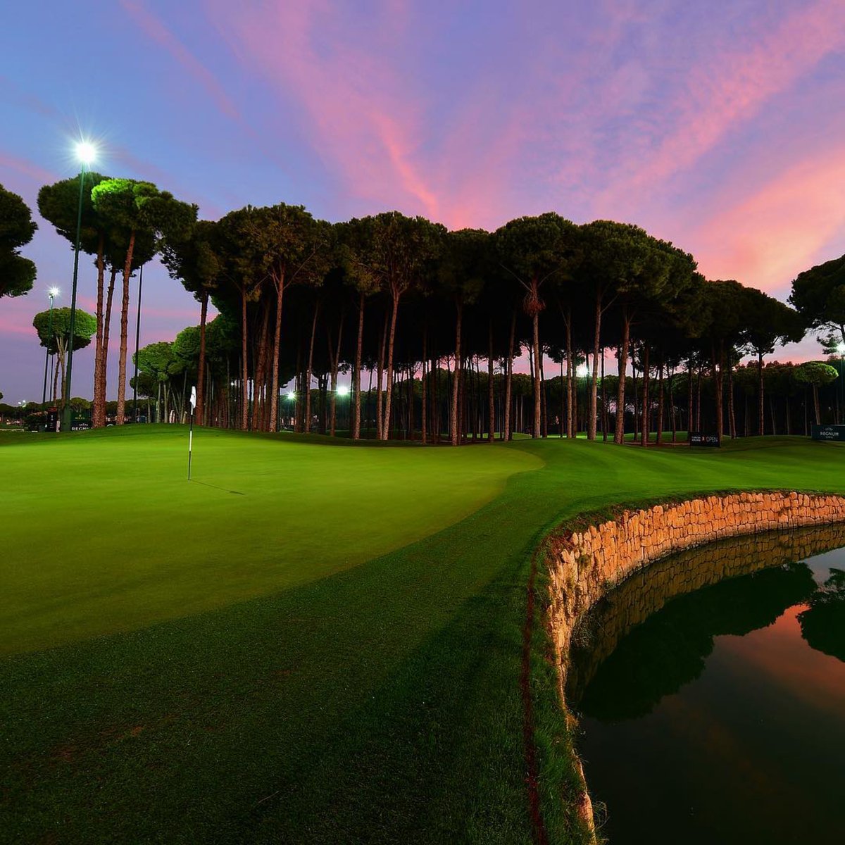 Peter Finch tweet media