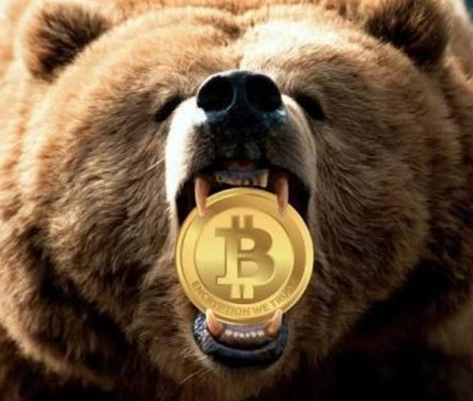Need motivation to keep going in this #BearMarket ?
🌈 Keep calm and study the previous bear runs 
🌈 Share positive tweets on CT 
🌈 Believe in the tech and solid projects like $NPXS $XRP $DASH
This is a test to weed out the ones that are in for a quick buck. $BTC
#cryptotrading