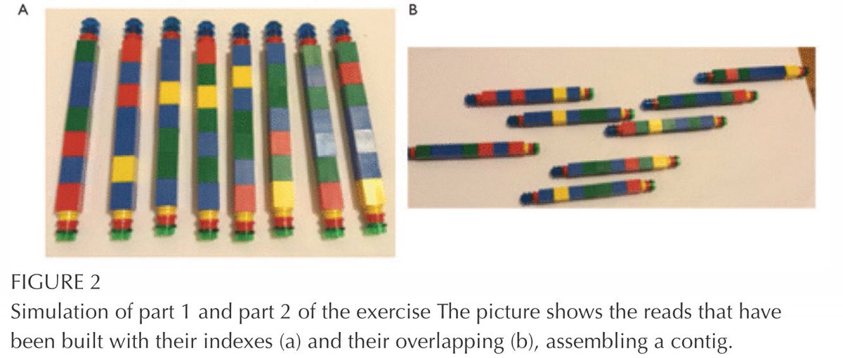 sequencing with Lego