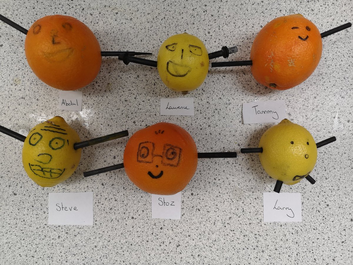 CKP_Science's tweet photo. Internal resistance with some citrus pals! Upper sixth physics not showing off much artistic flair! #CKP_Science #CokethorpeAmbition @CKP_Maths https://t.co/JZVEz113oX