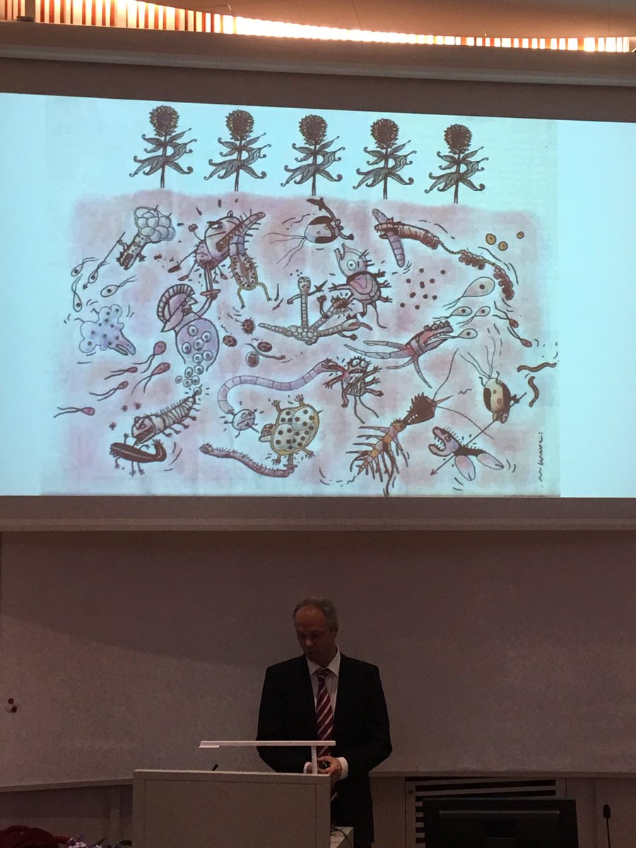 Monique Smith (@moniquesmith01) on Twitter photo My favourite slide from all of the talks so far! Soil as a battle ground in Martijn Bezemer’s talk. Lots of diversity = lots of interactions.
#soil #diversity #microbes My favourite slide from all of the talks so far! Soil as a battle ground in Martijn Bezemer’s talk. Lots of diversity = lots of interactions.
#soil #diversity #microbes