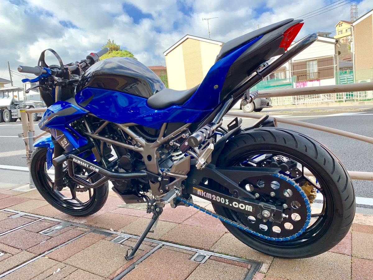 z250sl #エクストリームバイク #バイクスタント #遂に完成 #250cc