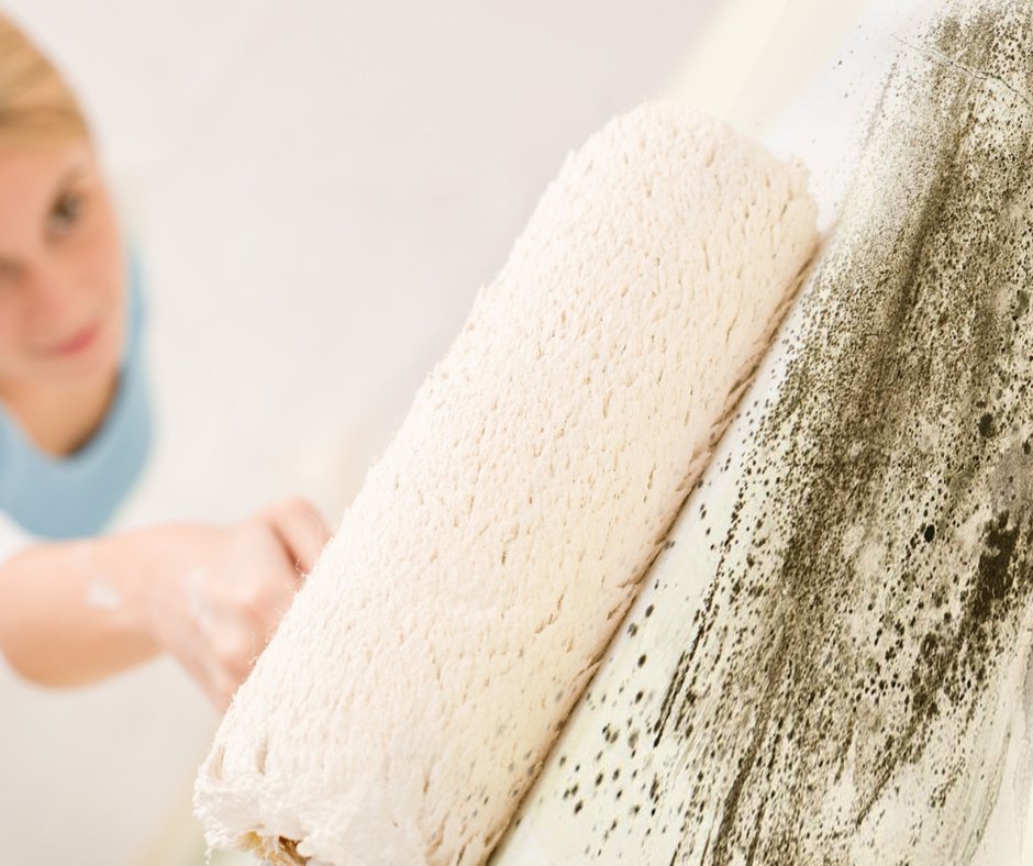 envirovent's tweet photo. #FactFriday 
1 in 5 UK homes suffer from #mould and #condensation problems. Unless the problem is dealt with professionally it will come back to haunt you time and time again.

Find a permanent solution today, contact EnviroVent: > https://t.co/V6D8JKizyy https://t.co/PGdVkkLzNP
