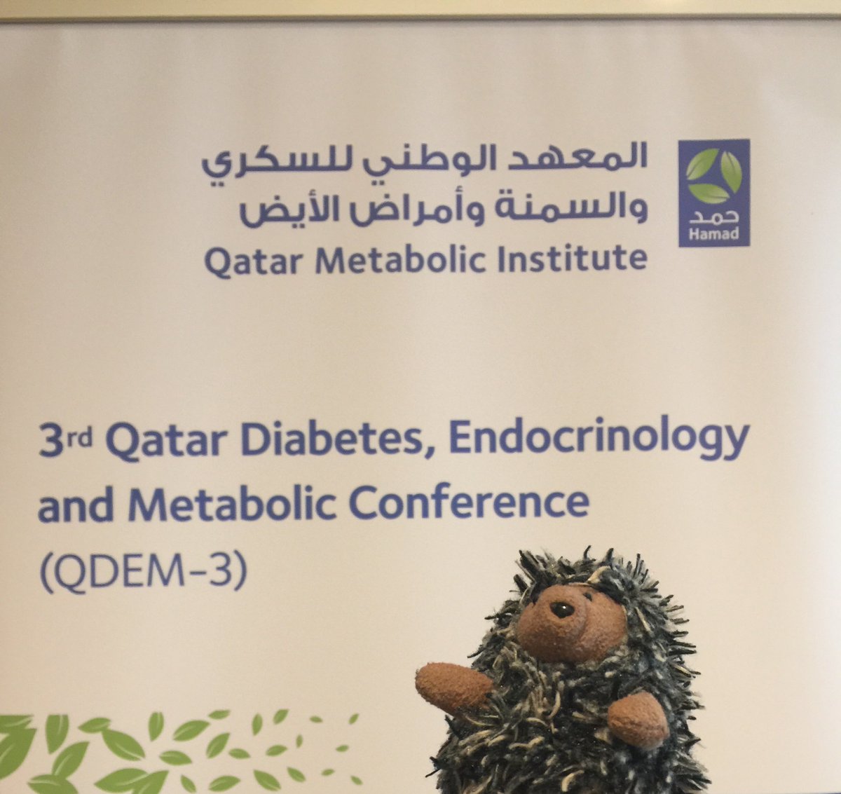 RamoncitoTravel's tweet photo. Ramoncito is learning more endocrine at the #QDEM-3 #QatarMetabolicInstitute #doha2018 @VisitQatar https://t.co/gUE4dlKsAO