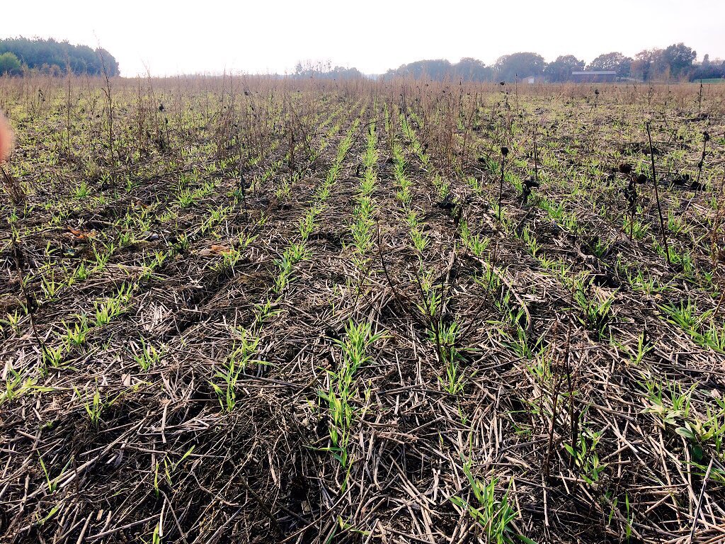 Matthieu Deff’ tweet media