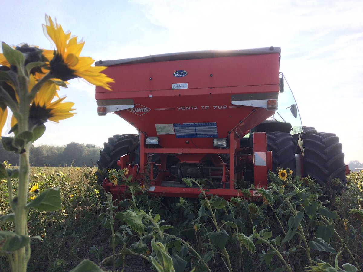 Matthieu Deff’ tweet media