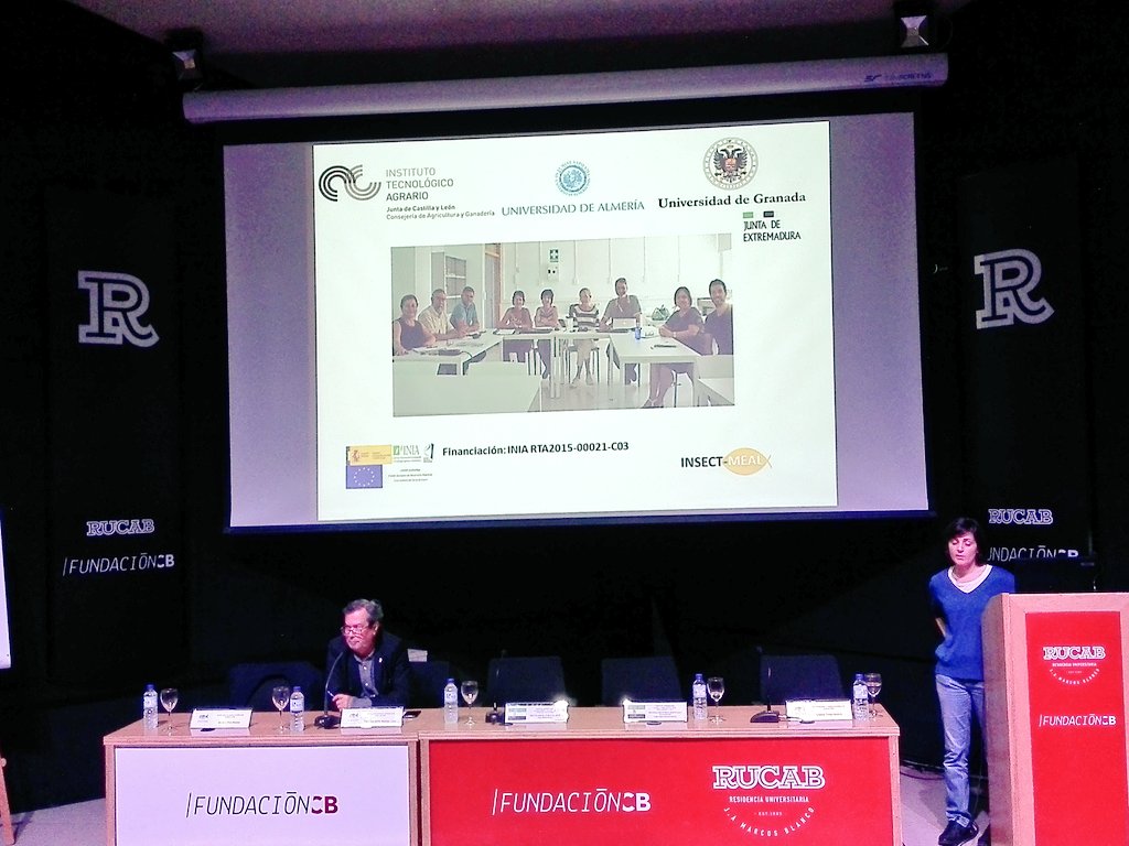 CICYTEX's tweet image. Presentados los resultados preliminares de 2 proyectos:
🐟 Insectmeal del @ITACyL_ 
🐟 Gestión Sostenible d la Acuicultura Ecológica:Optimización alimentación en Tencicultura  Ecológica” dnd colaboramos junto a @Junta_Agricultu @CanalUGR @infouex #ProgramaPleamar