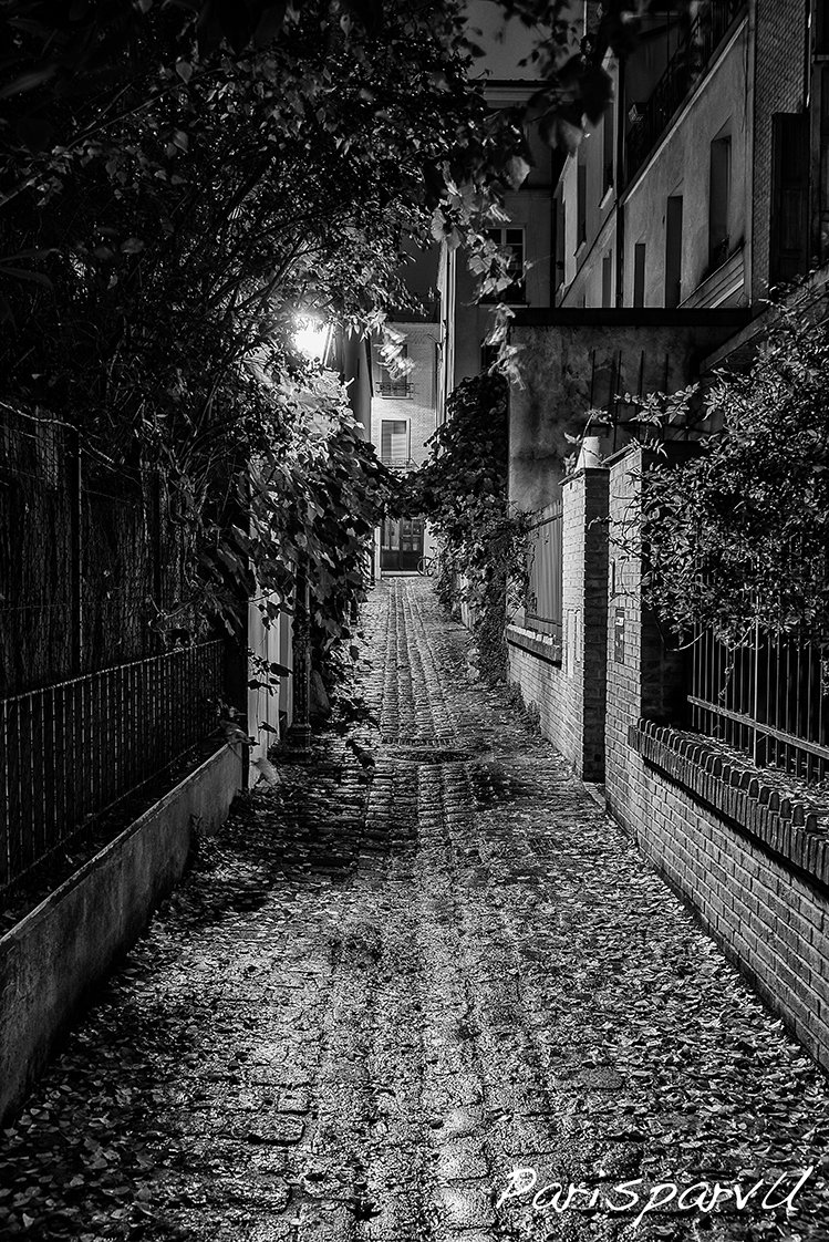 LA BALADE DU VENDREDI

Pour cette trente-huitième balade je vous emmène dans le 20ème arrondissement, et plus précisément Impasse Rolleboise.

parisparvu.com (+ de 4000 photos de Paris. A partir de 45€.)