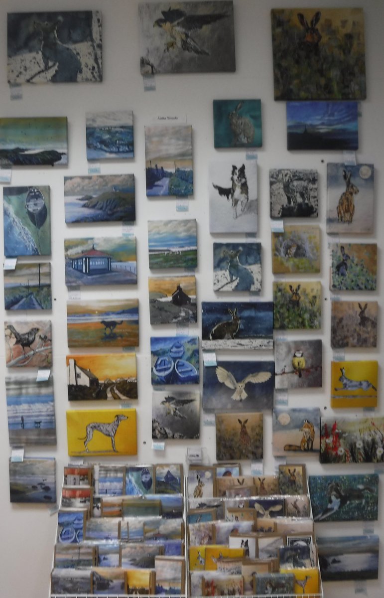 OrielBae's tweet photo. @anitawoodsart in the Gallery, gorgeous work!
#Aberystwyth #Gallery #art #craft #artisan 
#smallbizsatuk #smallbusinesssaturday #shoplocal #localartists #landscape #seascape #animals #WestWales #Welshartists https://t.co/OlzXPnAaA3