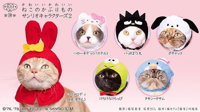 Elsaspeak 英語発音 サンリオキャラクターズの ねこのかぶりもの 第2弾が登場 マイメロディ 赤ずきん ハローキティ パステル バッドばつ丸など全6種 T Co 3lbodtveln 激かわ さて 被り物は 英語でなんというでしょうか Mascot