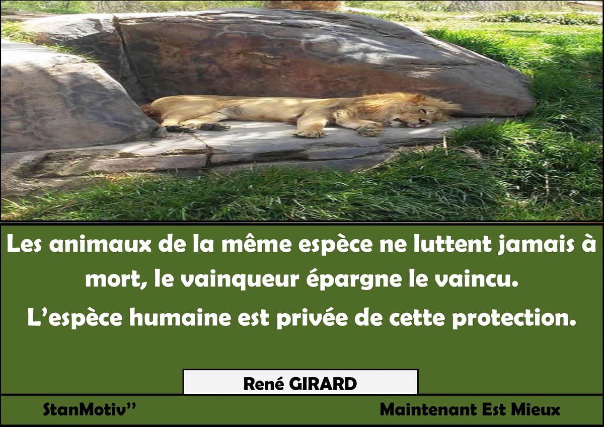 StanislasOUSSO2's tweet image. 