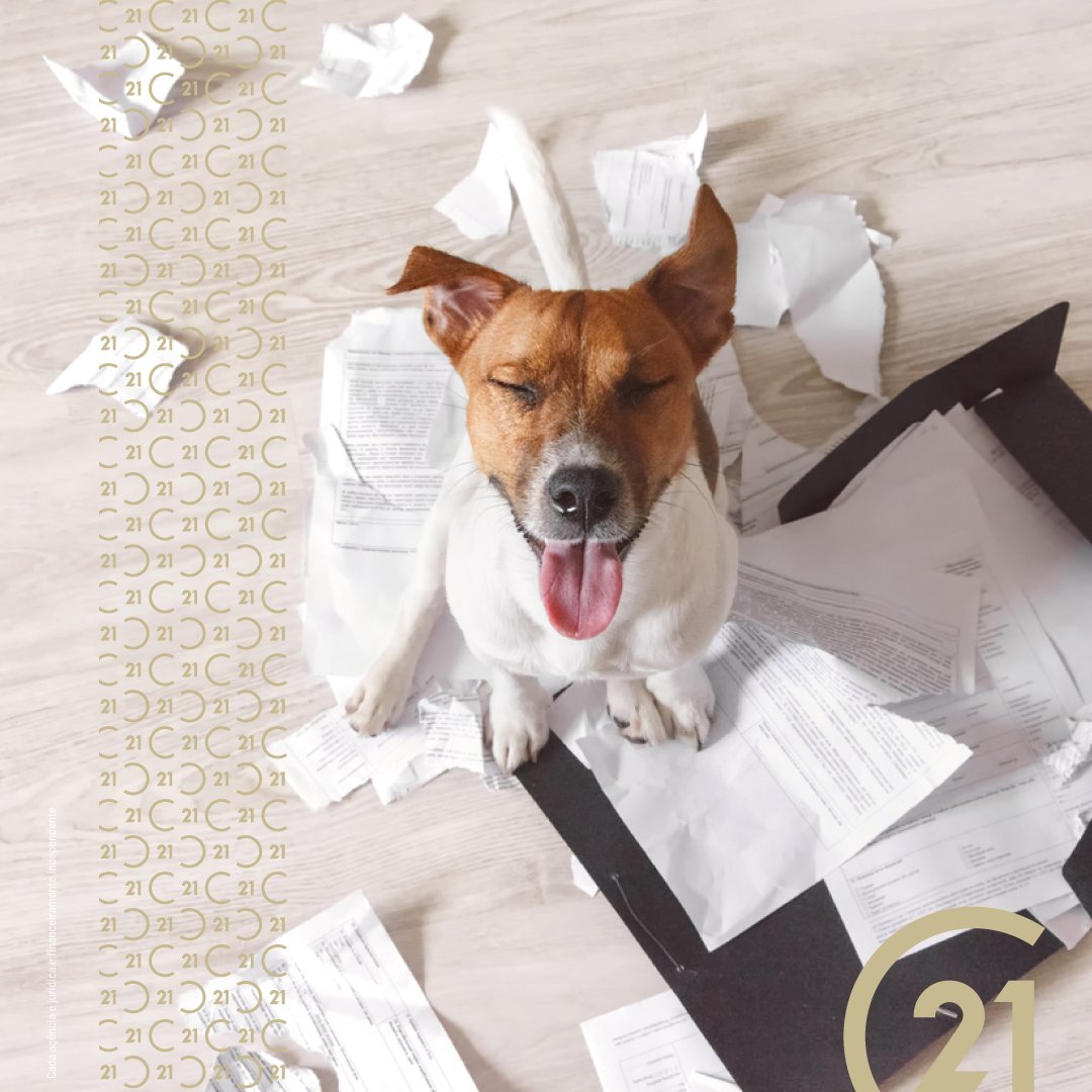 C21Espana's tweet photo. ¡Aguanta un día más, que mañana no se trabaja!!! 🐶

#CENTURY21 #HacemosTodoPorTi #PorTuCasa #YoSoyC21#relentlessmoves https://t.co/1Plhxl5Zp3